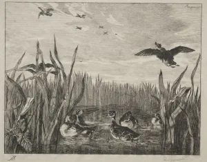 19th 20th Century Prints: Teal, 1853. Creator: Felix Bracquemond (French, 1833-1914)