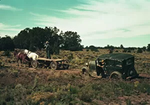 Carthorse Collection: Team pulling a car out of the mud; the roads near Pie Town, New Mexico are not improved, 1940