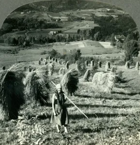 A Telemarken Harvest Scene near Saude, Norway, c1930s. Creator: Unknown