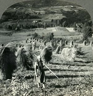 Tour Of The World Collection: A Telemarken Harvest Scene near Saude, Norway, c1930s. Creator: Unknown