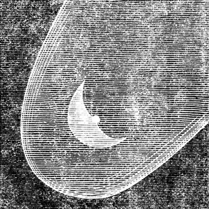 Donati Giovanni Prints: Telescopic Appearances of Donati's Comet