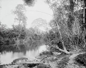 Temasopa Prints: Temasopa (i.e. Tamasopo) River, between 1880 and 1897. Creator: William H. Jackson
