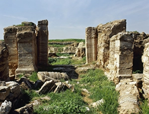 Temple of Atargatis, Dura-Europos, Syria, 2001. Creator: LTL