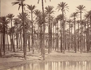 Temple de Cathers a Saqqarah, 1880s. Creator: Unknown
