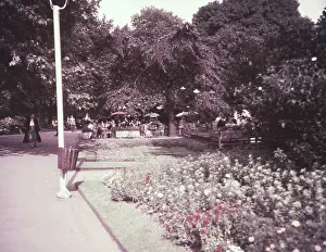 Temple Gardens, London, c1955. Creator: Arthur Charles Kirby Ware