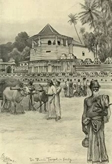 Cattle Collection: The Temple of the Tooth, Kandy, Ceylon, 1898. Creator: Christian Wilhelm Allers