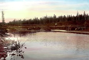 Temporary Prints: Temporary Crossing Built by Settlers Over the Zolotoi-Kita River