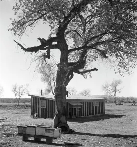 Temporary home, Bosque Farms project, New Mexico, 1935. Creator: Dorothea Lange
