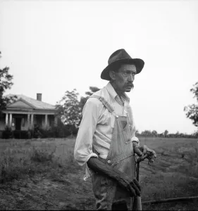 Sharecropper Prints: Tenant farmer near Thomaston, Georgia