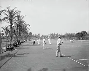 Palm Trees Prints: Tennis courts, Palm Beach, Fla. between 1900 and 1906. Creator: Unknown