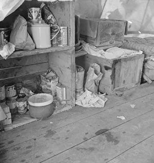 Cardboard Box Prints: Tent interior in a pea pickers camp