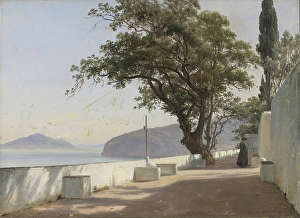 Fearnley Thomas Prints: Terrace with Oak, Sorrento, 1834. Creator: Thomas Fearnley