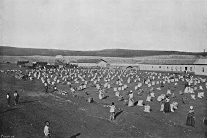 Terreiro para seccar o Cafe, (Coffee Drying and Packaging), 1895. Artist: Axel Frick