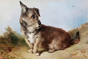 Oil On Board Prints: A Terrier Dog, 1852. Creator: James Cassie