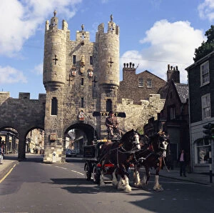 Shire Horse Gallery: Tetley shire horses and dray in front of Micklegate Bar, York, North Yorkshire, 1969