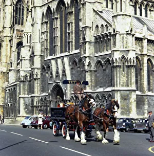 Shire Horse Gallery: Tetley shire horses outside York Minster, North Yorkshire, 1969. Artist: Michael Walters