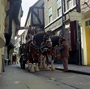 Shire Horse Gallery: Tetley shire horses in the Shambles, York, North Yorkshire, 1969. Artist: Michael Walters