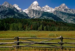 Tom Artin Prints: Tetons Fence. Creator: Tom Artin