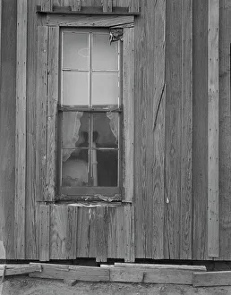 Mosquito Screen Prints: Detail of Texas Panhandle tenant farmer's house, 1937. Creator: Dorothea Lange