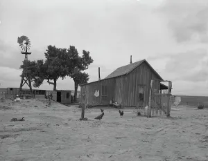 Water Amenities Prints: Texas tenant farmer's house, 1937. Creator: Dorothea Lange