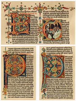 Images Dated 15th September 2007: Text page with illuminated initial letters, 14th century