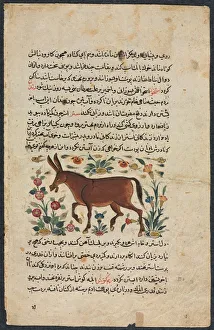 Ink And Opaque Watercolour On Paper Prints: Text Page, Persian Prose (Recto); Khar (Ass) (Verso), 1400s. Creator: Unknown