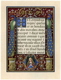 The Virgin Mary Collection: Text page with the Virgin and two peacocks, c1490