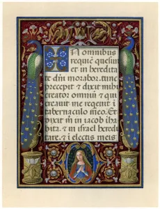Images Dated 15th September 2007: Text page with the Virgin and two peacocks, c1490