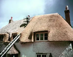Ladder Prints: Thatching at Little Waddon, Dorset, c1955-1970. Creator: Arthur Charles Kirby Ware
