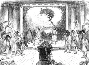 Student Prints: 'The Birds' of Aristophanes