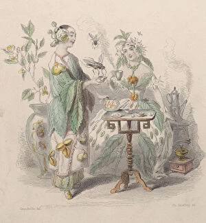 Images Dated 16th August 2021: The& Cafe, from Les Fleurs Animees, 1847