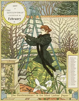 Calendar Prints: 'The Gentlewoman' Calendar for February 1897. Creator: Unknown