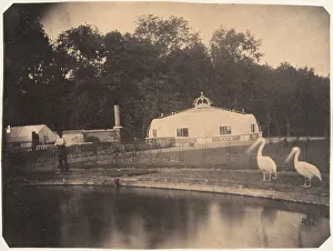 Brussels Belgium Prints: [The Pelicans and Greenhouses, Zoological Gardens, Brussels], 1854-56