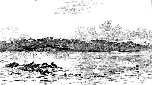 Colin Prints: 'The Seals Sanctuary'