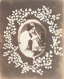 Cyathea Prints: Thereza, 1853-56. Creator: John Dillwyn Llewelyn