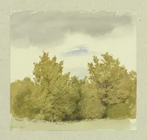 Wind Prints: Thicket, 1855. Creator: Carl Theodor Reiffenstein