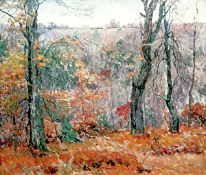 Harriet Prints: The Thicket, c1925. Artist: Harriet Lumis