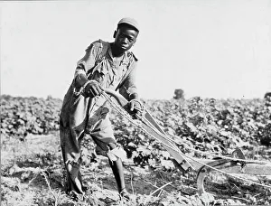 Sharecroppers Prints: Thirteen-year old sharecropper boy near Americus, Georgia, 1937. Creator: Dorothea Lange