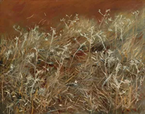 Sargent John Singer Prints: Thistles, 1883 / 89. Creator: John Singer Sargent