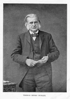 Images Dated 28th February 2006: Thomas Henry Huxley, British biologist, c1870s