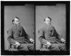 Vice President Prints: Thomas White Ferry of Michigan, 1865-1880. Creator: Unknown