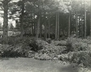 Dawson James Frederick Prints: Thornewood, Chester Thorne house