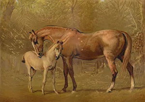 Paddock Prints: Thoroughbred Mare & Foal, c1879. Creator: Unknown