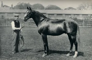 Service Co Prints: Thoroughbred racehorse, Bend Or, c1880