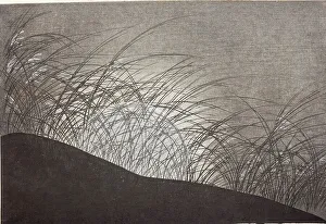 Grasses Prints: A Thousand Grasses (Chigusa) (image 19 of 33), 1900. Creator: Kamisaka Sekka