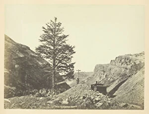Andrew Joseph Russell Gallery: Thousand Mile Tree, Wilhelmina's Pass, 1868/69. Creator: Andrew Joseph Russell