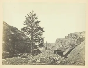 Andrew J Russell Prints: Thousand Mile Tree, Wilhelmina's Pass, 1868/69. Creator: Andrew Joseph Russell