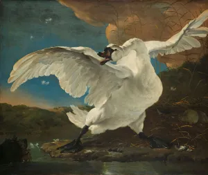 Aggression Prints: The Threatened Swan, c.1650. Creator: Jan Asselijin