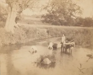 Eakins Thomas Prints: [Three Children and a Dog Playing in the Creek, July 4, 1883], 1883. 1883