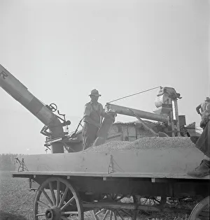 Cereal Prints: Threshing of oats, Clayton, Indiana, south of Indianapolis, 1936. Creator: Dorothea Lange